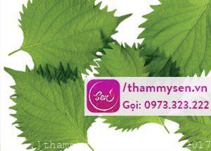 cách làm trắng da bằng lá tía tô