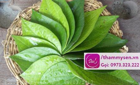 cách tẩy lông hiệu quả tại nhà