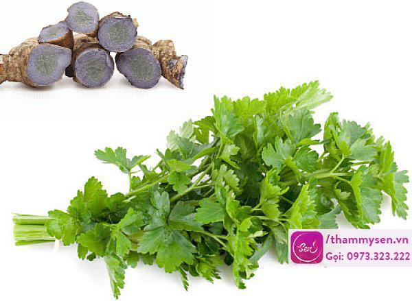 Cách trị mụn cơm bằng lá mùi và nghệ đen hiệu quả Cách trị mụn cơm bằng lá mùi và nghệ đen hiệu quả