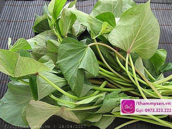 Cách trị mụn cơm ở chân bằng lá khoai lang tiết kiệm Cách trị mụn cơm