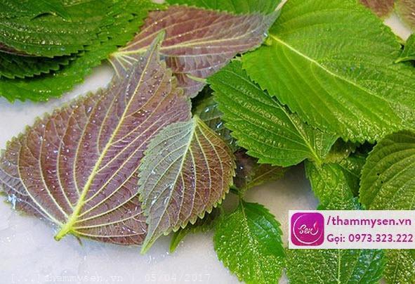 Cách trị mụn thịt