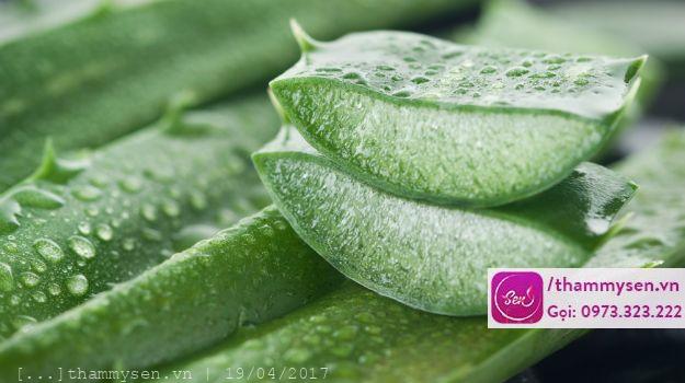 Cách trị mụn bằng rau diếp cá đơn giản hiệu quả