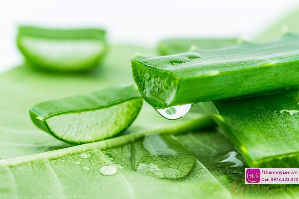 Cách trị mụn hiệu quả bằng nha đam