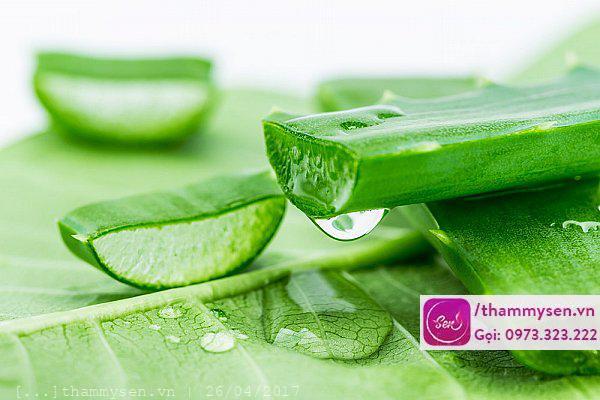 Cách trị thâm mụn hiệu quả trong 1 tuần tại nhà bằng lô hội Cách trị thâm mụn hiệu quả trong 1 tuần tại nhà bằng lô hội