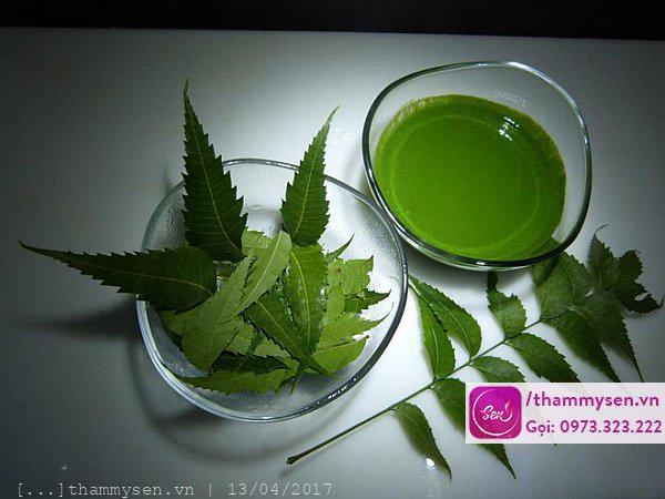 Lá cây neem - cách trị mụn hiệu quả nhất Cách trị mụn hiệu quả nhất với lá cây neem
