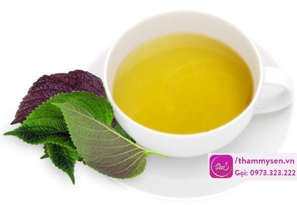 Cách trị mụn bằng lá tía tô tại nhà