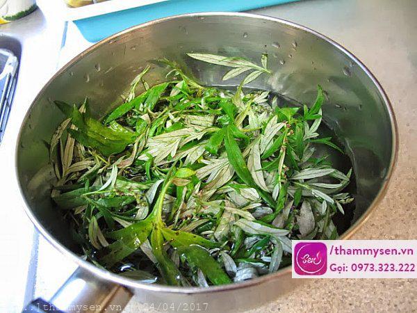 trị mụn bằng ngải cứu