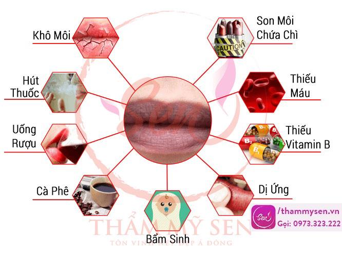 tri-tham-moi