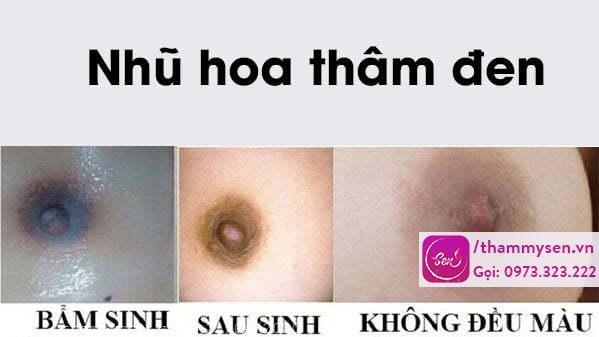 nhu-hoa-tham-den.jpg